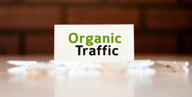 What Does an Organic SEO Agency Do for Website Rankings